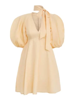 Tie Neck Mini Dress