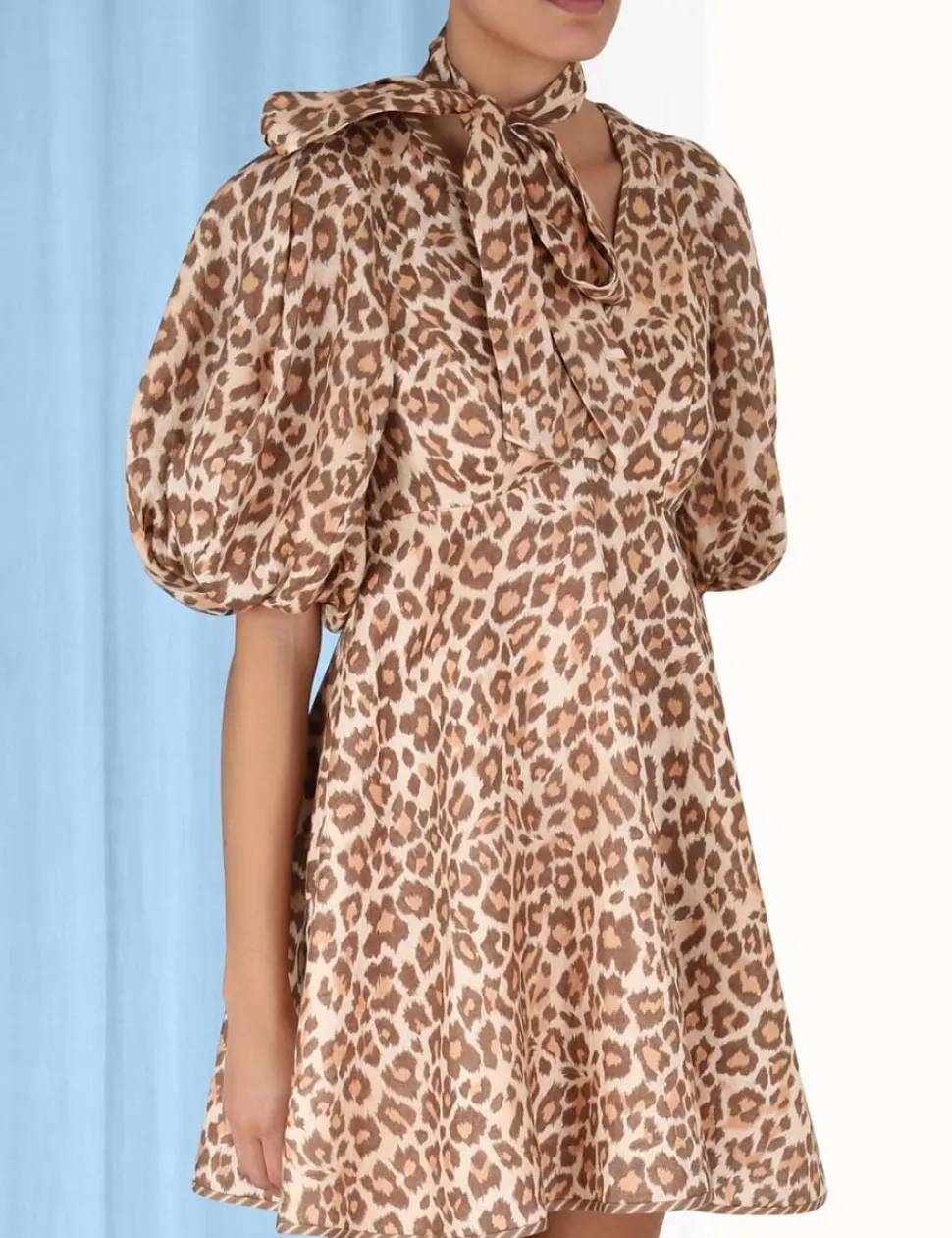 Tie Neck Mini Dress